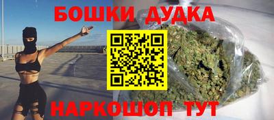 гашик Будённовск