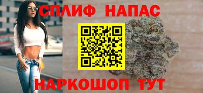 гидра Бузулук
