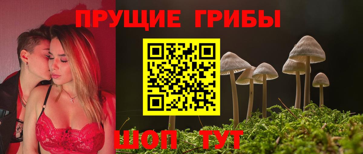 Галлюциногенные грибы мицелий  Вход с VPN  Кушва  Псилоцибиновые грибы GOLDEN TEACHER 
